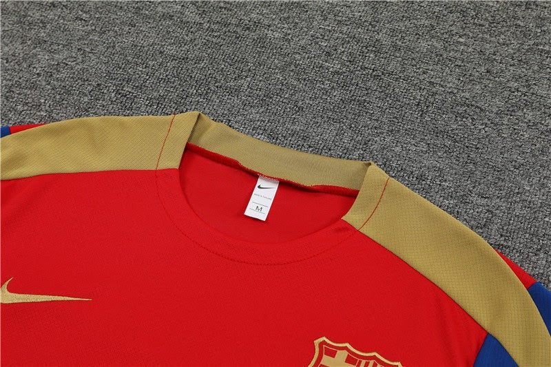 Kit de Treino 4 Barcelona 2024/25